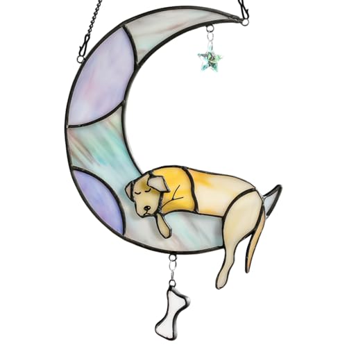 Cadeau de condoléances pour animaux de compagnie attrape-soleil