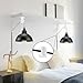 Pulley Wheel for Plug in Pendant Light, Wall Ceiling Mount Pulley for Hanging Lamp, 1 Pack Pulley Wheel and 4 Pack Swag Hooks for Hanging Electric Wire Cable Cord Chandelier Plant Grow Lights (White)