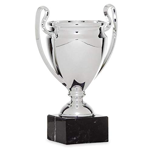 Trofeos Martínez - Trofeo Copa Champions ABS Personalizada (19)
