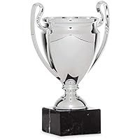 Trofeos Martínez - Trofeo Copa Champions ABS Personalizada (19)