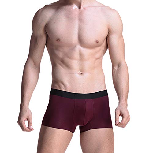 Pantalones cortos interiores de hombre para oficina y deporte ligero