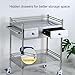 MDYHY Medical Trolley Cart, 2 Tiers Mobile Medical Cart, Lab Serving Cart, Professional Utility Cart with Wheels, for Dental Clicnic, Lab, Beauty Salon Storage Cart
