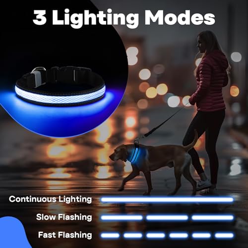 RUXAN Leuchtendes Hundehalsband USB Aufladbar, LED Hundehalsband Wasserdicht mit 3 Modi Größe Einstellbar Sicherheit Hundehalsbands für Kleine Mittlere Große Hunde für Nacht Sicherheit