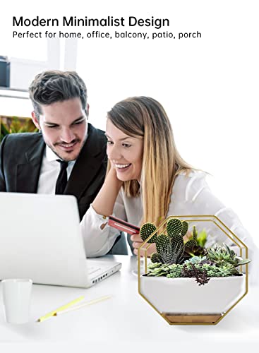 Chiree Succulent Planters 7×3.5 Inch Decorative Ceramic Flower Plant Pots With Metal Holder Hanging And Place Dual-Purpose Garden Planter Pot With Drainage And Saucer For Indoor Home Office Desktop #TOP6