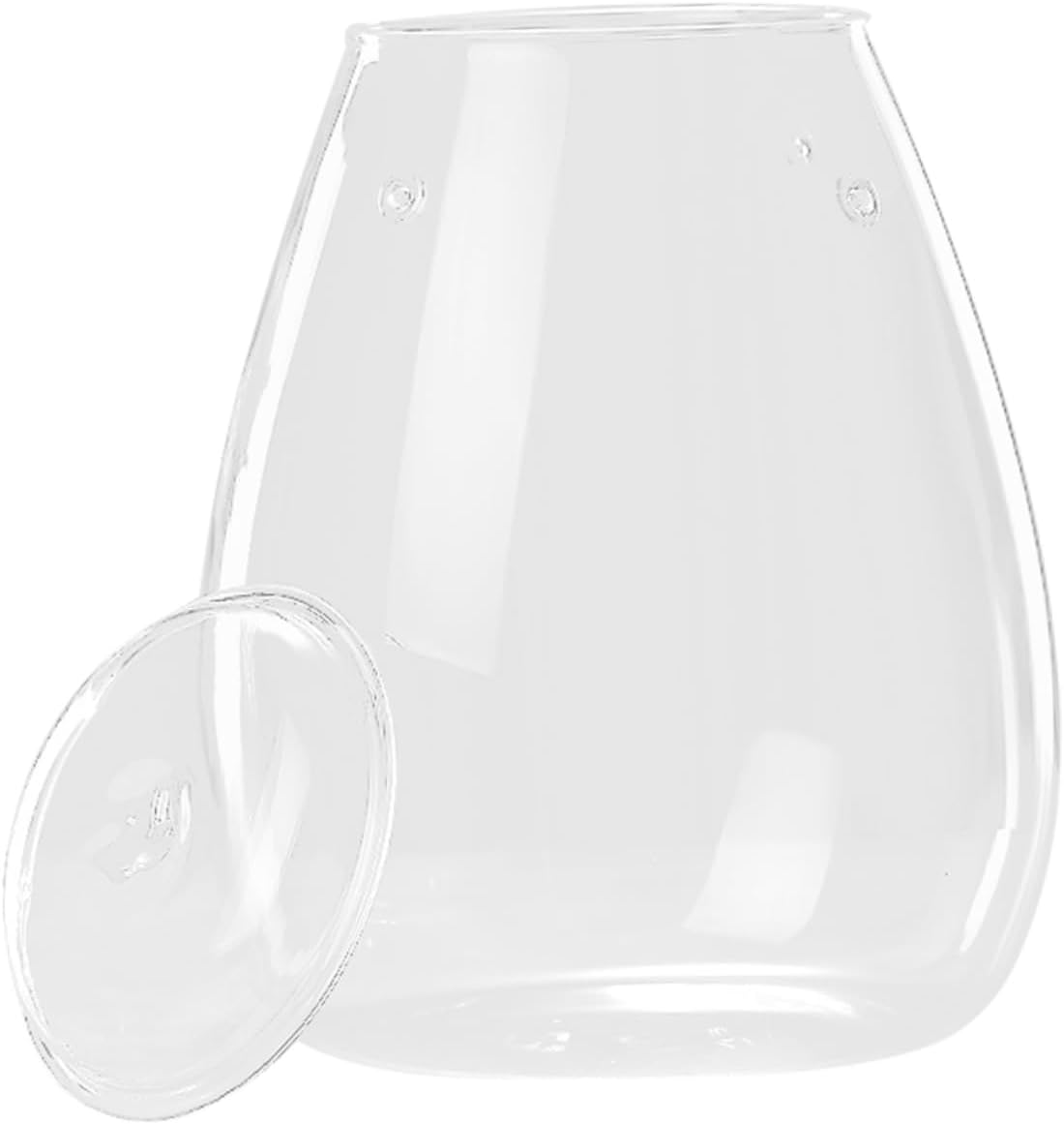 BESPORTBLE Micro Landscape DIY Bottle Transparent Glass Plant Bottle for Indoor Decor Moss Terrarium for Tabletop Room Office Garden Decoration