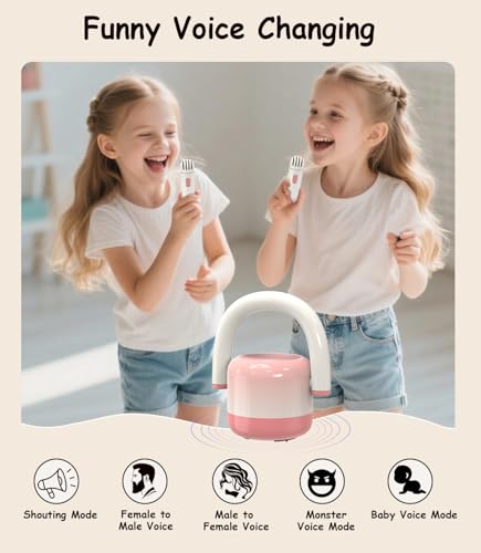 Portable Bluetooth Karaoke Microphone