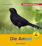 Hase und Igel Verlag GmbH