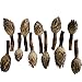 Small Magnolia Seed Pods, 24 Pack for Bioactive Enclosures, Terrariums, Aquariums, Reptiles, Amphibians, Isopods