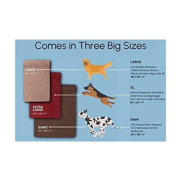 Big-Barker-Sleek-Orthopedic-Dog-Bed-7-Dog-Sofa-Bed-for-Large-Dogs-wWashable-Microsuede-Cover-Sleek-Elevated-Dog-Bed-Made-in-The-USA-w-10-Year-Warranty-Sleek-Large-Gray Big Barker Sleek Orthopedic Dog Bed - Elevate Your Pet's Sleeping Experience