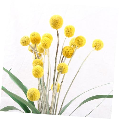 BESPORTBLE 30 tallos flores secas decorativas amarillas miniatura 5