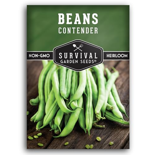 1 Pack Contender Bush Bean Seeds for Planting with Instructions to Grow Delicious & Stringless Green Beans in Your Home Vegetable Garden - Non-GMO Heirloom Garden Seeds - Survival Garden Seeds