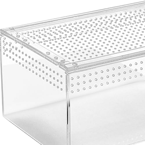 Ｂｅｓｇａ Terrário de répteis Recipiente para habitat de répteis Recipiente de acrílico transparente par