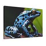 Photo Gallery trsgksqp stampe artistiche da parete con rana e freccette, decorazione moderna da parete con cornice, pronta da appendere, su tela, pittura a olio, extra large, decorazione per la casa, bagno Photo Gallery trsgksqp stampe artistiche da parete con rana e freccette, decorazione moderna da parete con cornice, pronta da appendere, su tela, pittura a olio, extra large, decorazione per la casa, bagno