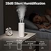 Amazon.com: JISULIFE Portable Small Humidifier with Cool Mist, 500ml ...