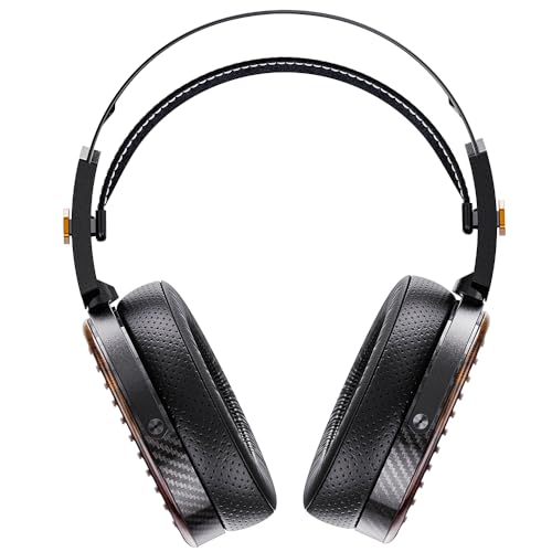 FIIO FT7 Black FIO-FT7-B の商品画像 1