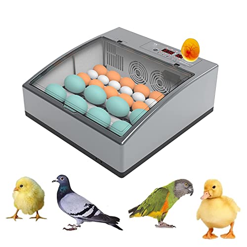 Fanxier Egg Incubator, Fully Automatic 16-36 Eggs Incubator, with LED Egg Light ï¼Automatic Egg Turning & Temperature Control, Used to Hatch Chickens, Ducks, Geese and Birds