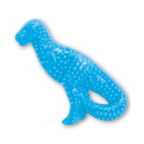 Interpet NDD001PEU Nylabone für Welpen, Dinosaurier-Kauspielzeug für den Zahnwechsel - Hühnergeschmack, S