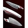 8-inch-Chef-Knife-Japanese-VG-10-Damascus-Steel-Kitchen-Knife-Ultra-Sharp-Cooking-Knife-with-Full-tang-Handle-in-Red-Resin-LA-S9-Series SANMUZUO 8 inch Chef Knife, Japanese VG-10 Damascus Steel Kitchen Knife, Ultra Sharp Cooking Knife with Full-tang Handle in Red Resin, LA-S9 Series