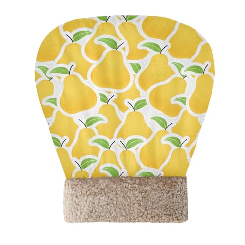 SUKAU LpQ ~  CG[ Lxbh ybgxbh 􂦂 ۉ y LnEX ybgpi p xe