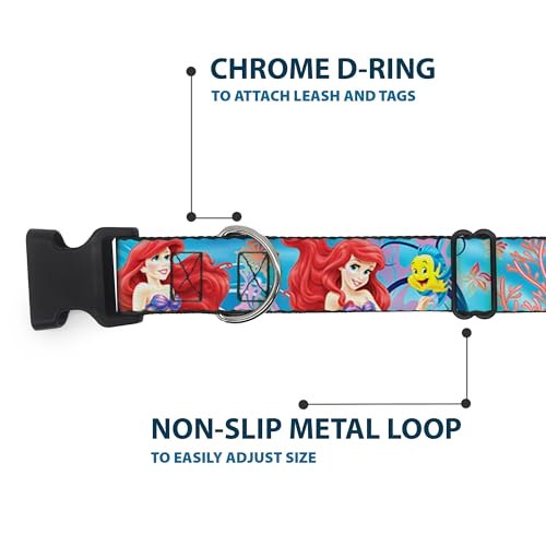 Collar Ariel y Flounder con clip de plástico resistente Buckle Down 6