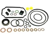 Kit de reconstruction de joint pour pompe d'injection VE 5.9 12V 2500 Diesel Compatible avec Dodge Cummins