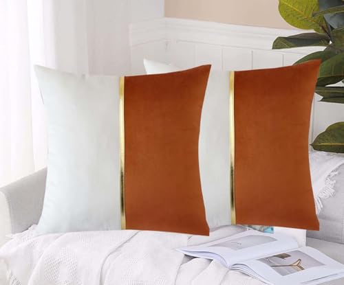 Image of HIMS Velvet Sofa Pillow Cover Set of 2, Luxury Cushion Cover 16 inch x 16 inch for Decorative Living Room Sofa Bedroom Car (16x16 Inch, Brown)