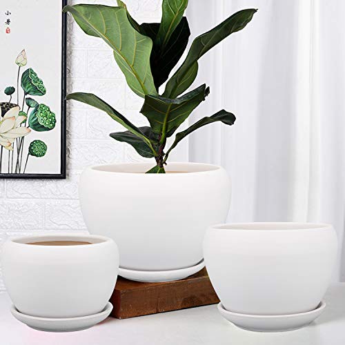 Brajttt Ceramic Flower Pots,3 Pack White Round Ceramic Planters For Succulent Herbs Cactus, S/M/L Sized Flowerpots With Saucers For Indoor & Outdoor #TOP6