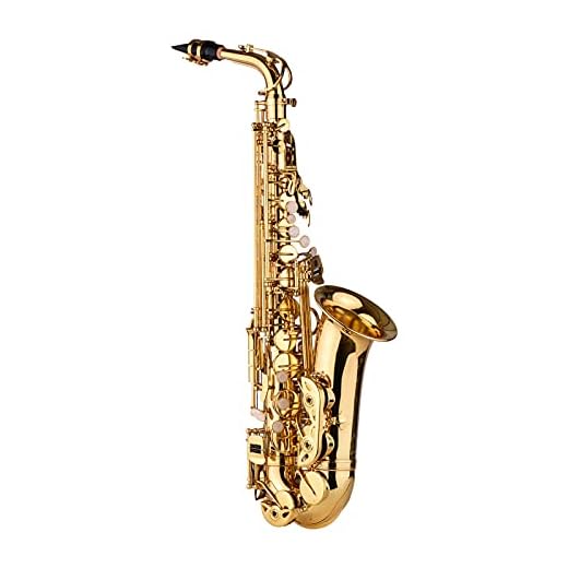 Chusui AS100 Eb Saxofone Alto Latão Lacado Sax Alto Instrumento de Sopro com Estojo de Transporte Luvas Correias Escova de Pano de Limpeza