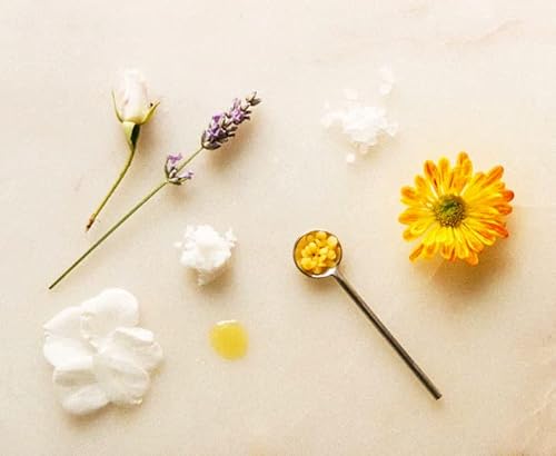 Shwally Zinc & Charcoal Deodorant – A True Natural, Tallow-Based & Effective Deodorant For Men & Women –– Aluminum Free & Hypoallergenic, With 100% Grass-Fed Tallow, Coconut, Zinc & Arrowroot – Concentrated, Lasts 4X Longer (Eucalyptus + Peppermint, 1.7 Oz) #TOP4