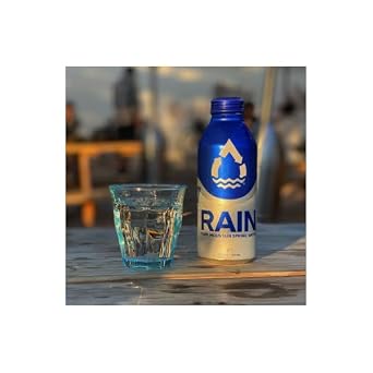 2-Pack Pure Mountain Spring Water, 16 oz Aluminum Bottle