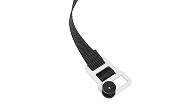 Amazon.com: AMP Research 74811-01A Black BedXTender HD Max