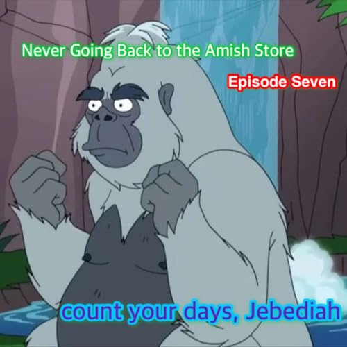 Never Going Back to the Amish Store