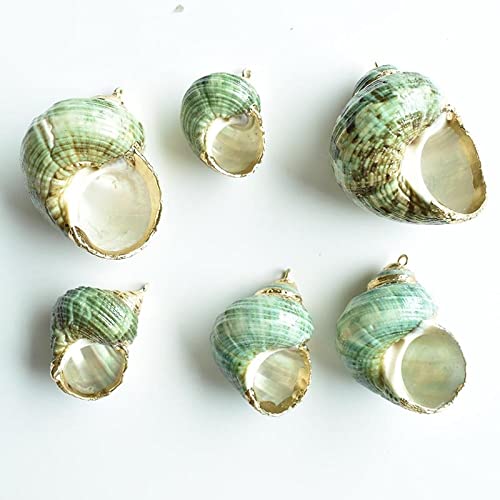 Pierre de cristal et conque naturelle pour une deco de table zen - 3