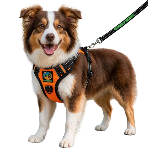 Image of Adjustable Padded Dog Harness with Leash | Comfortable Walking Harness for Dogs | Orange | Size M | Suitable for Dogs 16-24 kg