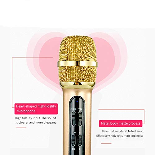 Microphone à condensateur et studio de poche écho pour chant sur ordinateur