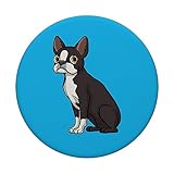 Zoom IMG-2 boston terrier cani obbedienti seduto