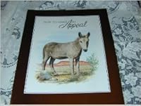 How to Make an Appeal B000I2OA2Y Book Cover