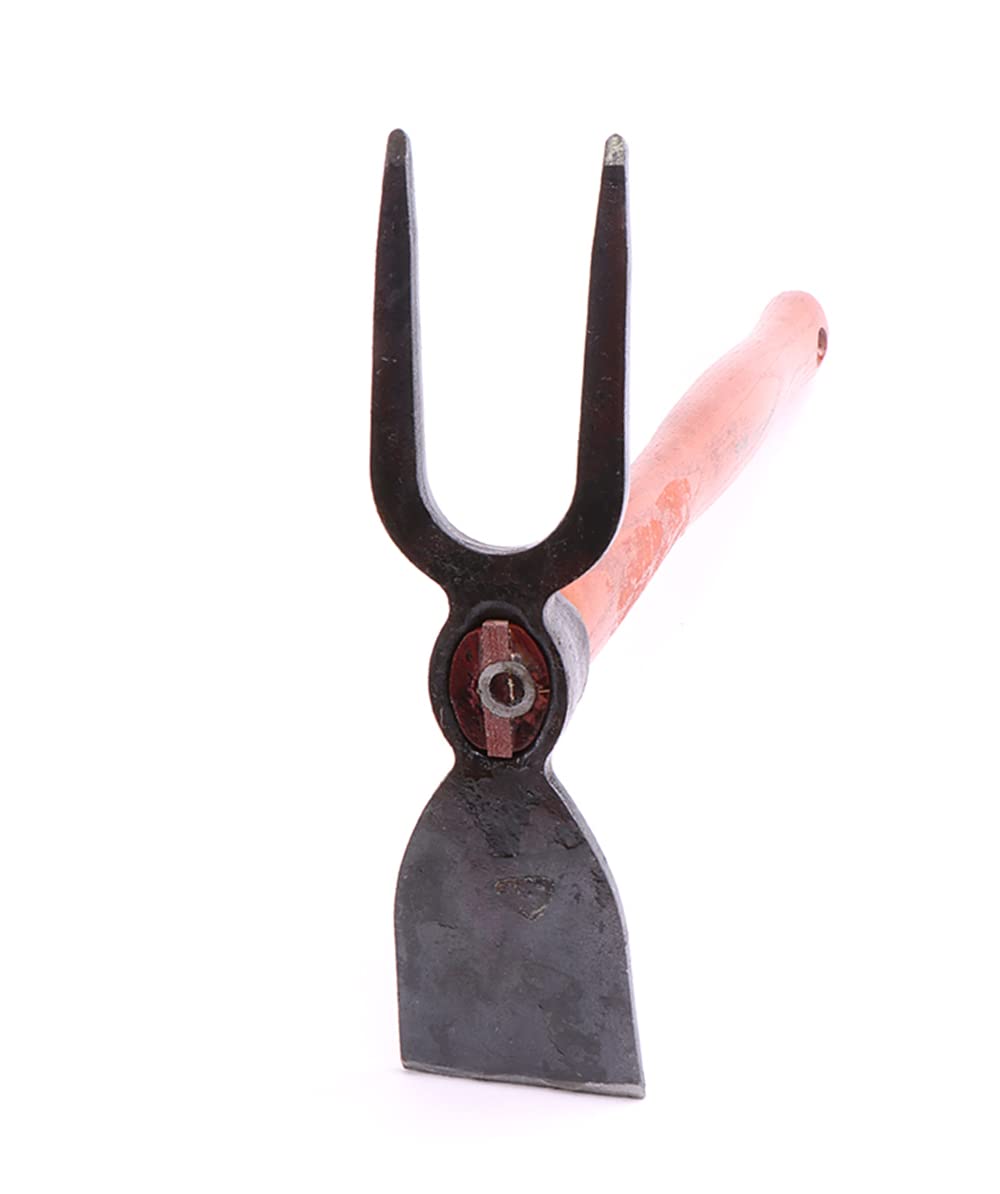 shw Petite serfouette Rex, avec Une Large Pane et 2 Dents