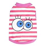 ★ Gelegenheit Ideal für Outdoor, Wandern, Joggen, Wandern, Touren, Strände.