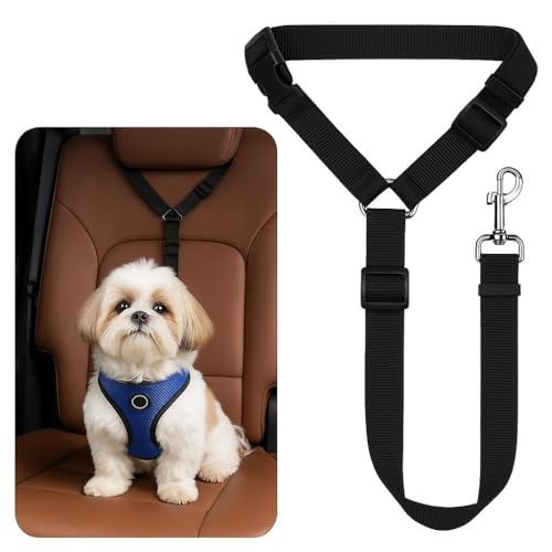 &LpybgV[gxg?SNbvt߉\ȎԗpwbhXgSn[lX ? ^A^A^ybgp̑ϋv̂ԗV[gxg[h ? ybgSɕۂ܂