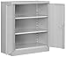 Salsbury Industries Heavy Duty Assembled Counter Height Storage Cabinet, 42-Inch High by 18-Inch Deep, Gray