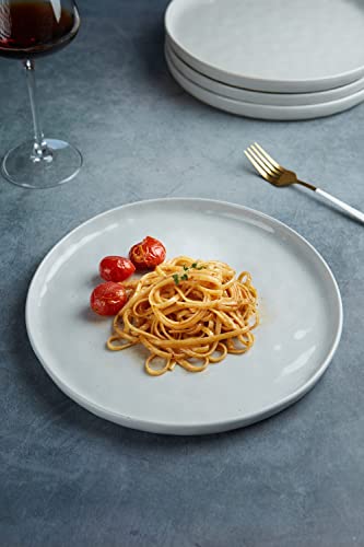 Famiware Mars 4 Pieces Dinner Plates, 10.25 Inch Plate Set, Scratch Resistant, Stoneware Dinnerware, Kitchen Modern Rustic Serving Dishes, Multi-Color #TOP2