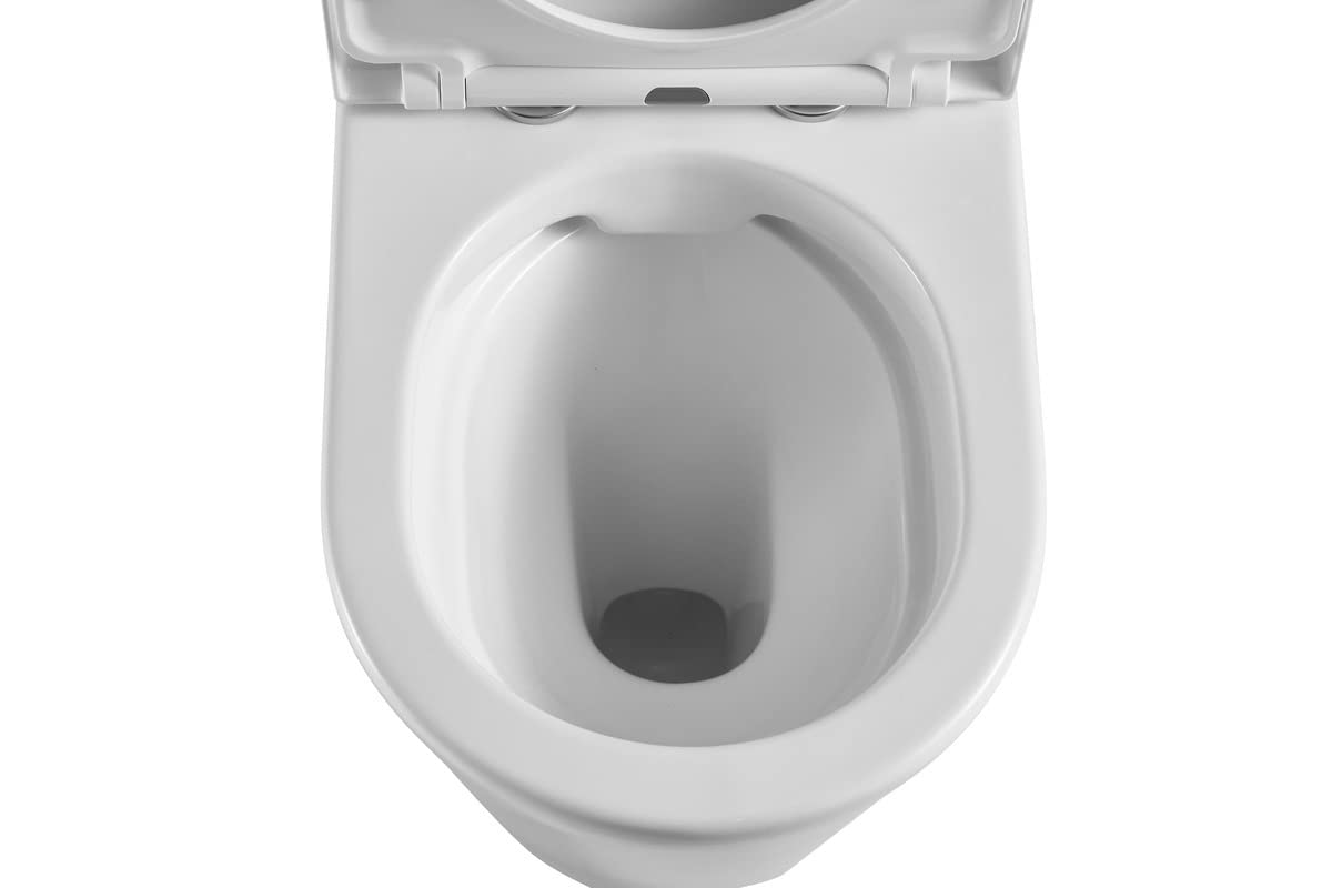 Swiss Aqua Technologies WC da tavolo | Sedile SoftClose | Massima igiene e resistenza agli urti | SATBRE031RREXVP