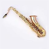 Adecuado para cualquier jugador de nivel: el saxofón es perfecto para jugar en solitario, también es un buen instrumento de acompañamiento de madera en jazz y música clásica, los saxofones son los instrumentos perfectos para los músicos estudiantiles y una gran adición a cualquier jugador de nivel.