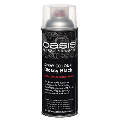 Spray Paint by Oasis 400 ml Cans Fresh Flowers & Crafts Florist - 42 Colours (Glossy Black)