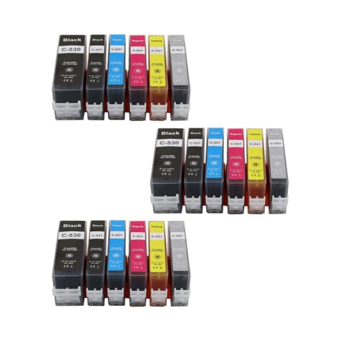 Cartouche PGI-530 CLI-531 pour imprimer les devoirs et dossiers sur Canon TS8750