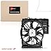 A-Premium Engine Radiator Cooling Fan Assembly with Brushless Motor Compatible with Select BMW Models - E53 Series X5 2004 2005 2006, 4.4L 4.8L - Replace# 17427521767