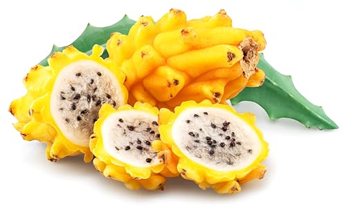 Pitahaya (pitalla) amarilla con pulpa blanca (4 kg) recien recogidas de nuestros invernaderos, 14 horas antes de ser mandadas, del campo a tu mesa sin intermediarios.
