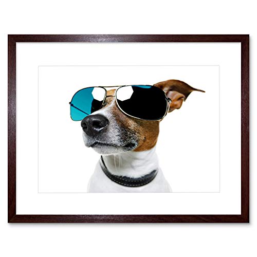 JACK RUSSELL Dog Sun Glasses Black Frame Art Print B12X9052