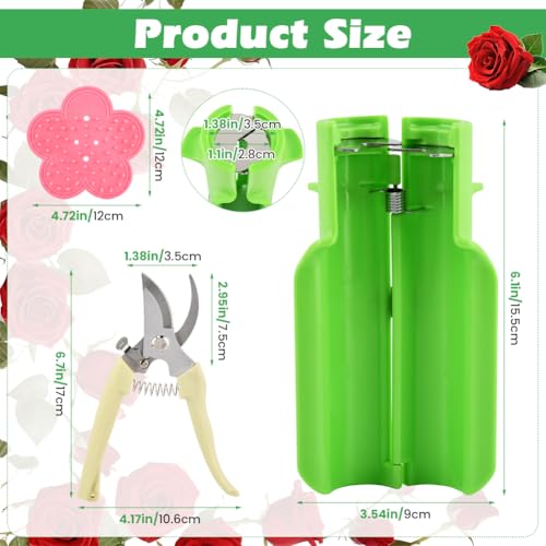 Herramienta de 3 piezas para quitar espinas de rosas miniatura 2